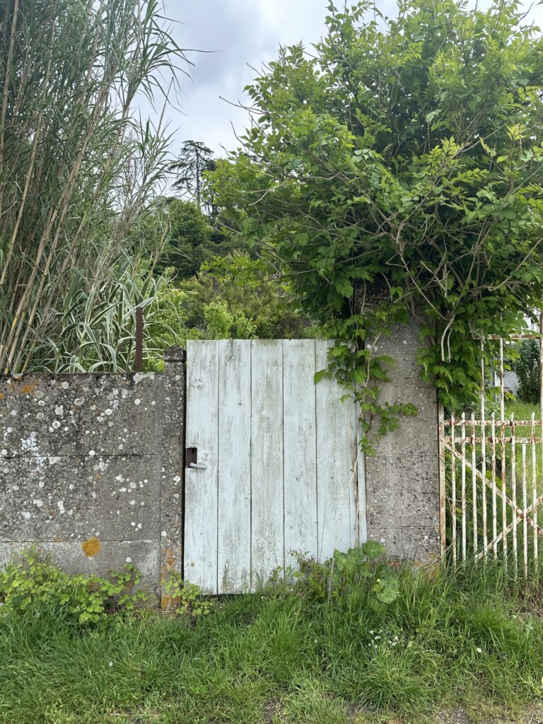 porte arriere metamicien