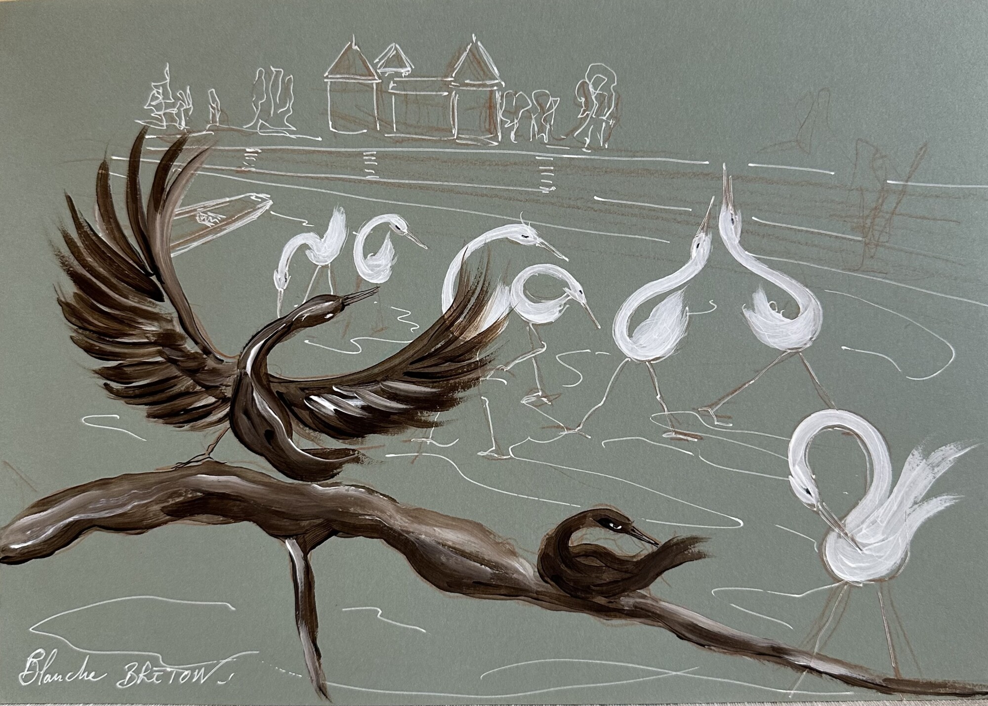 oiseaux sur Eaux